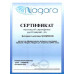 Душевое ограждение Grossman PR-90G золото, 90х90, с раздвижными дверьми, полукруглое